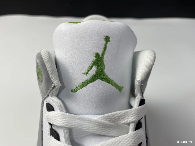Cheap TB Retro Jordan Air 3 Chlorophyll 136064-006 0820